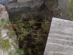 IMG00023