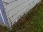 IMG00028