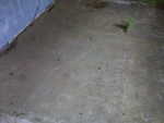 IMG00045