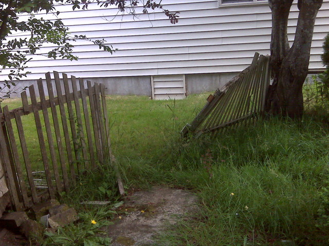 IMG00047