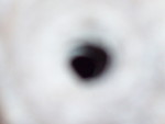 100 3292