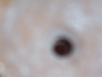 100 3293